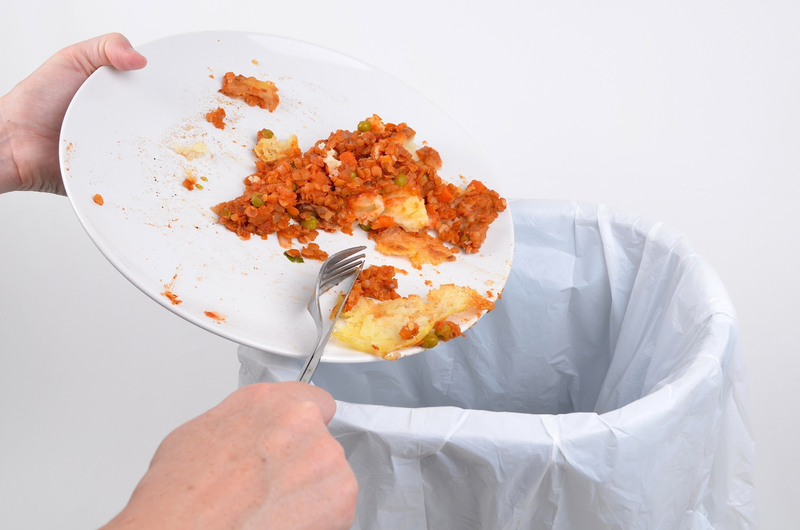 Create Space for What Matters with Professional Hoarder Cleanup